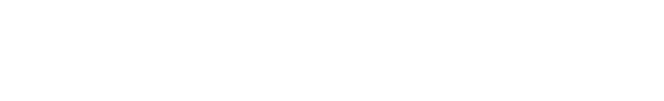 The Invisible President